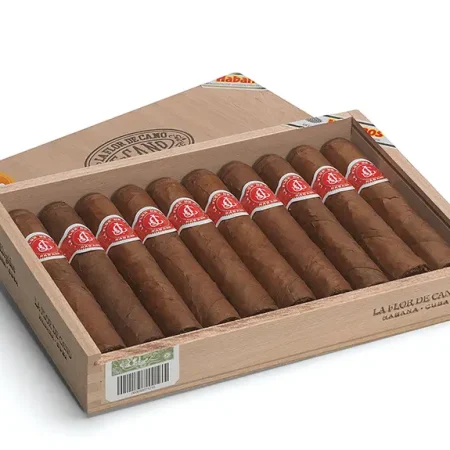 拉弗洛尔德卡诺 精选 LA FLOR DE CANO ELEGIDOS
