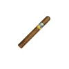 高希霸 世纪二号 COHIBA SIGLO II